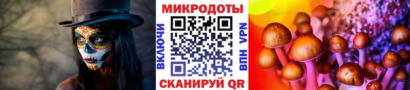 даркнет Telegram  Северодвинск  Псилоцибиновые грибы MAGIC MUSHROOMS 