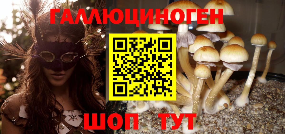 купить  цена  Вход с VPN  Северодвинск  Псилоцибиновые грибы MAGIC MUSHROOMS 