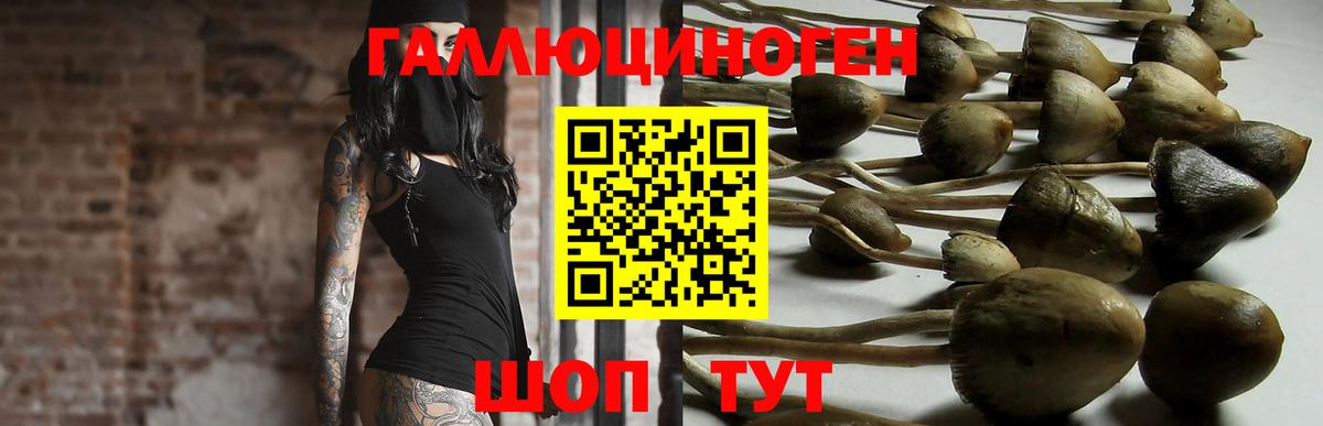 COCAIN  Вход с VPN  Северодвинск  Мефедрон кристаллы  ТГК  ГАШ  Конопля 